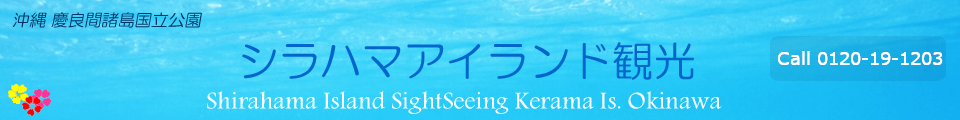 シラハマアイランド観光