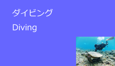 ダイビング