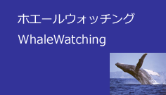 ホエールウォッチング