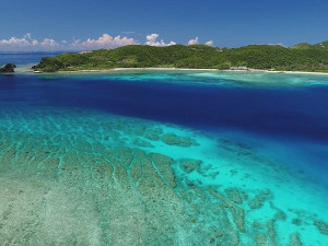 ガヒ島前サンゴ礁